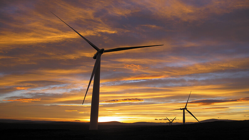 Whitelee wind farm