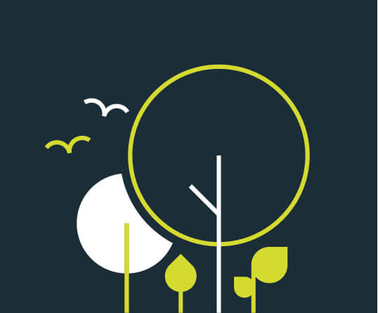 Beyond Net Zero Carbon